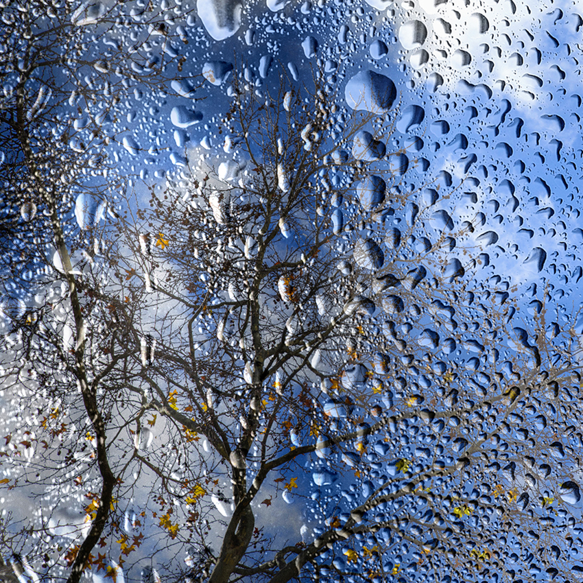 Días de lluvia | Federación Andaluza de Fotografía