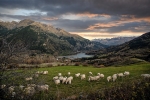 Valle de Tena, Pirineo Aragonés