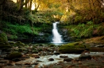 El bosque de las náyades.