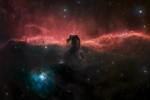 Galactic horse