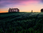 Amanecer en ruinas