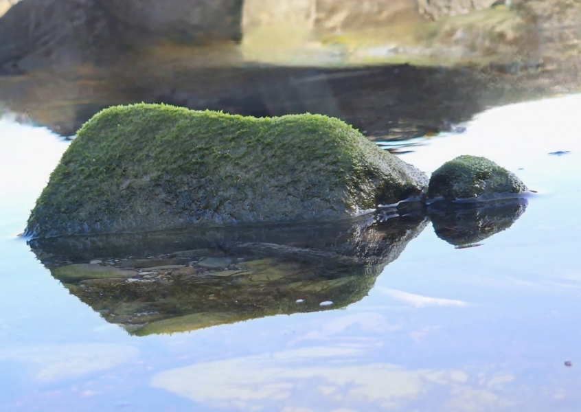 Piedra soñada