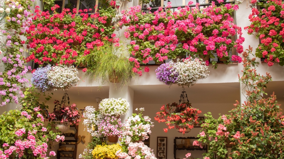 patios de Cordoba