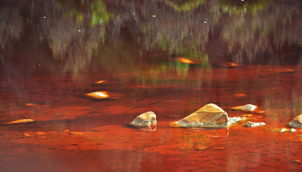 Reflejos en el Tinto