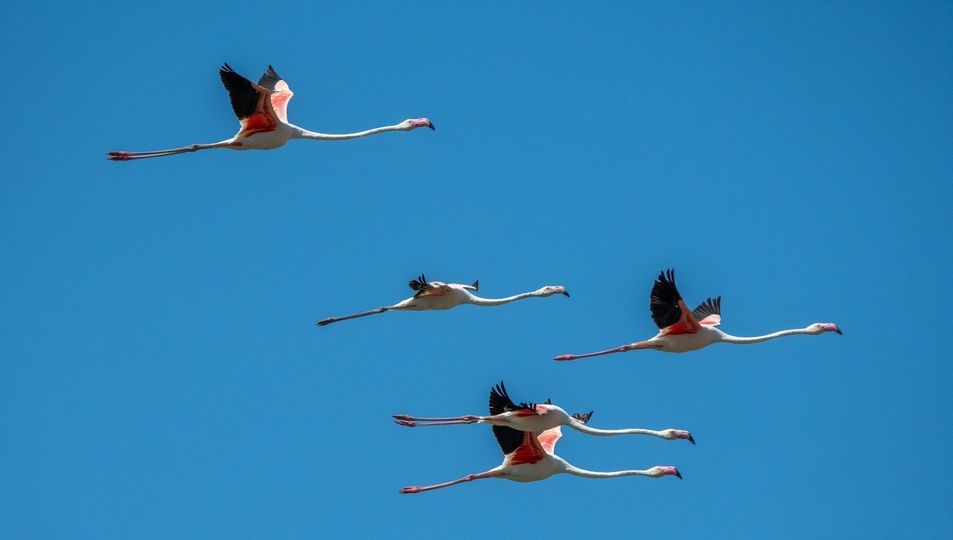 contemplando desde el aire