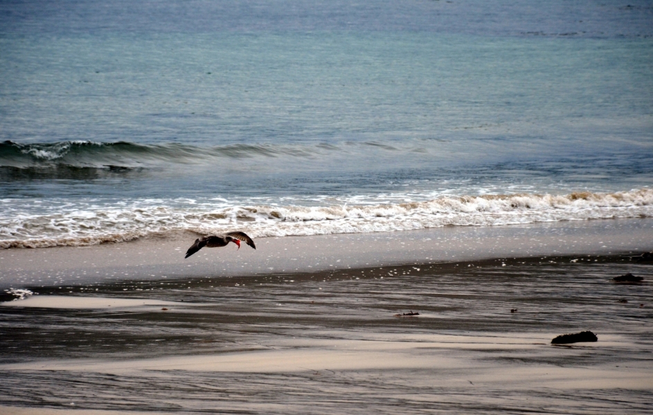 Playa de Llanes