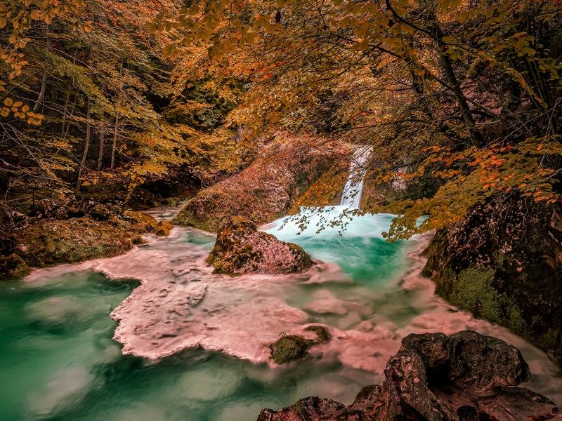 OTOÑO EN UREDERRA