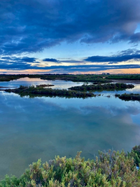 SALINAS DE HUELVA