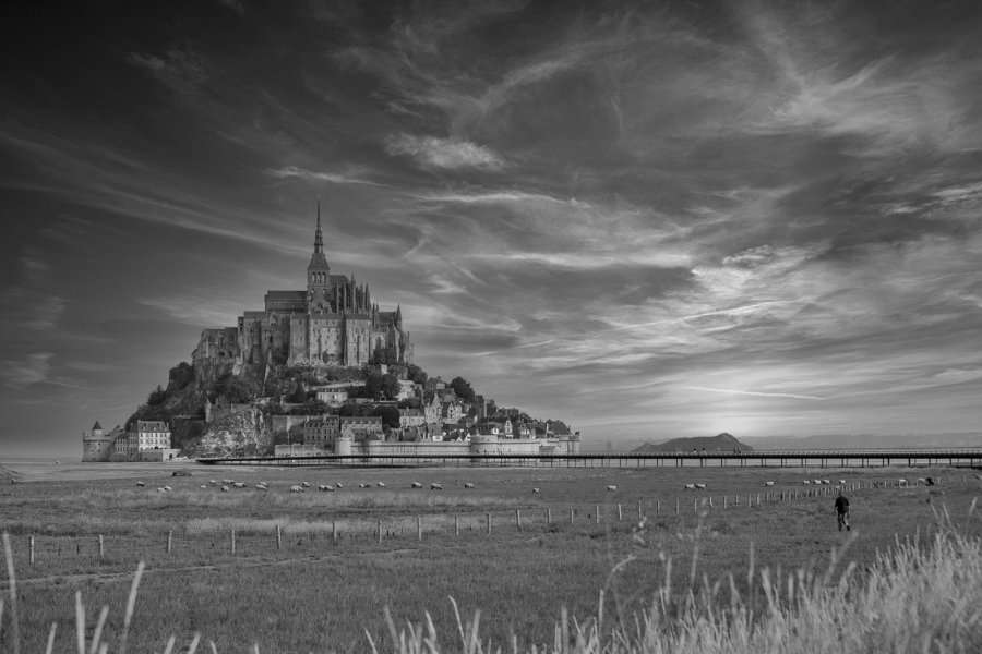 Shepherding in Saint michel